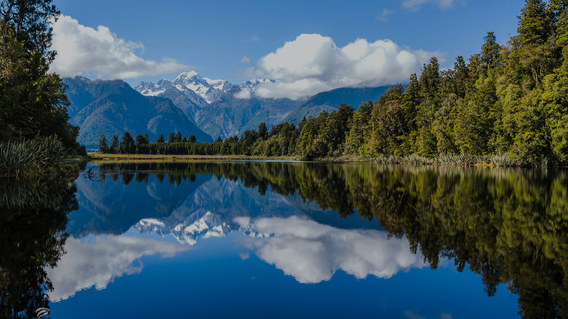 締造人類(lèi)的美好明天